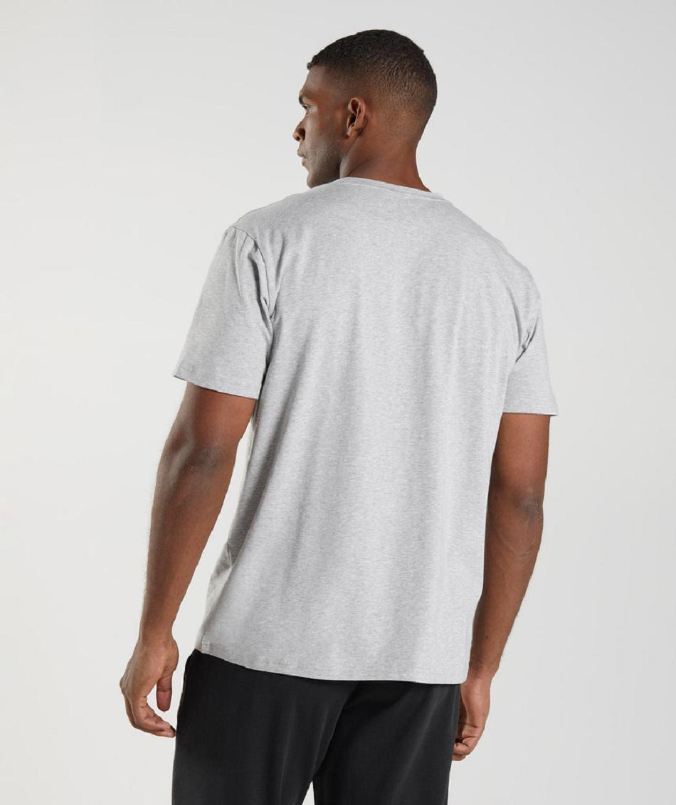 T Shirts Gymshark Block Hombre Gris Claro | CO 3303ILH